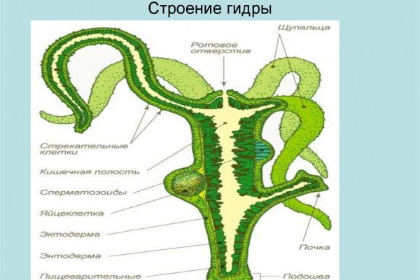 Кракен черный сайт