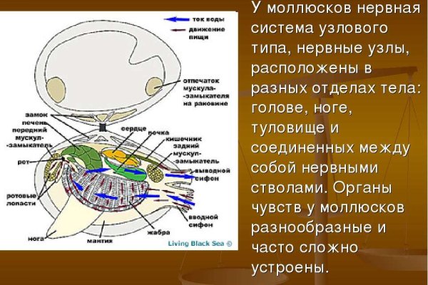 Кракен оф сайт kr2web in